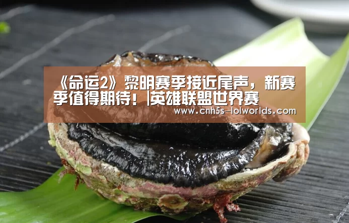 《命运2》黎明赛季接近尾声,新赛季值得期待!|英雄联盟世界赛(图3) 英雄联盟世界赛